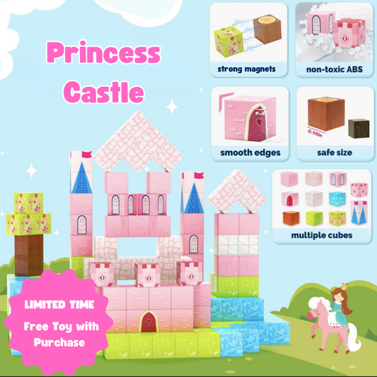 Magnectic Blocks - Princess Theme 72 pieces